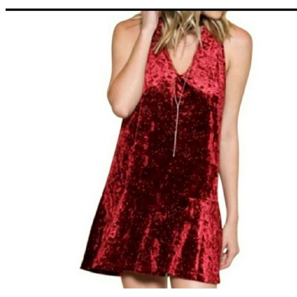 Boho Rose NWT Rose Red Velvet Mini Dress